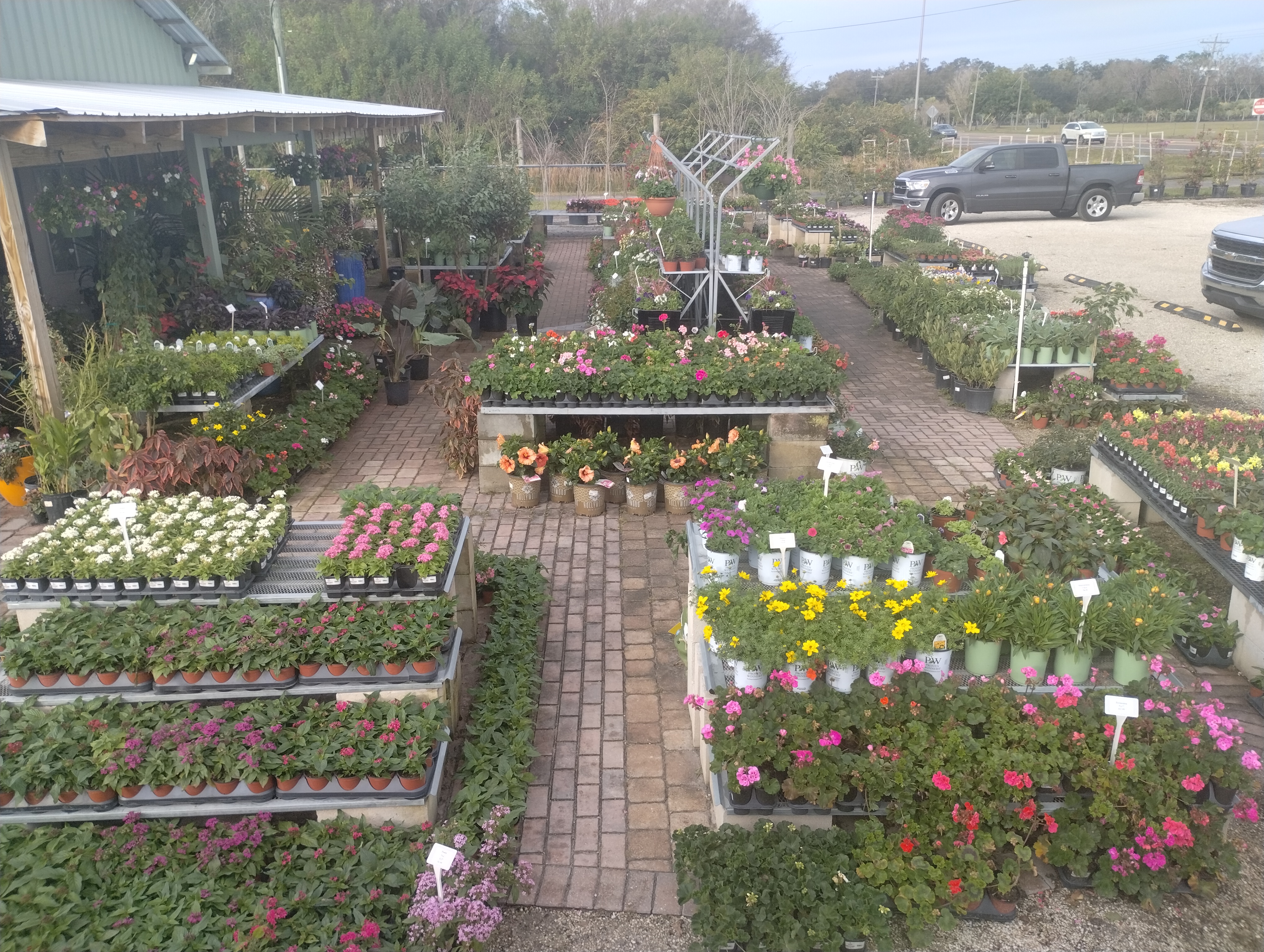 Edgewood Nursery