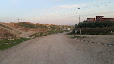 Photos of مهدرا بوزا Bozan Graveyard