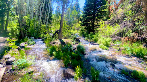 Baker Creek Trailhead Parking Lot - Thumbnail