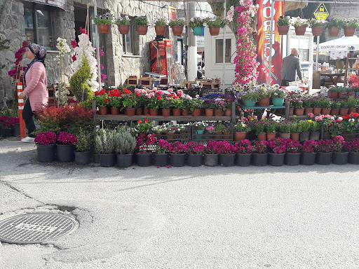 NEW GARDEN ÇİÇEKÇİLİK
