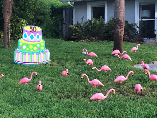 Stork Report - Visual