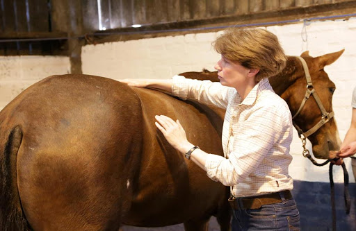 Francesca Leslie – Equine Physiotherapist