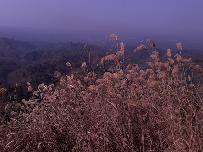 Photos of Birpokkho Temple