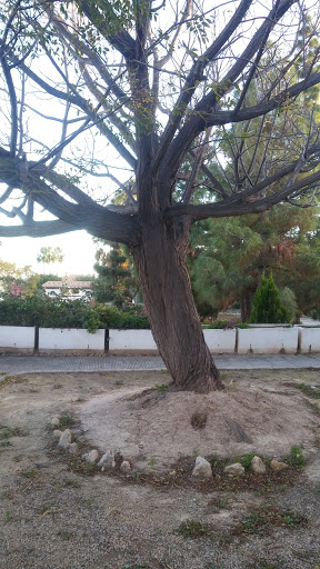 Carrer Fumat - Thumbnail