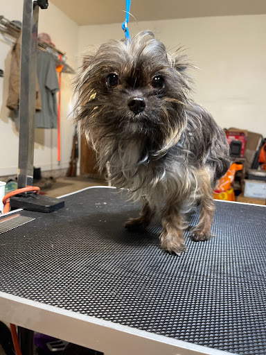 Sweet Baby Salon LLC - Thumbnail