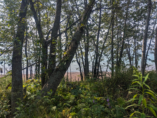 Old Shore Beach - Thumbnail