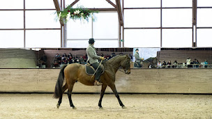 Photo n°8 de Anatoly Equitation - Randonnée à cheval - Ecole de Légèreté à Bagnères-de-Bigorre (Centre de randonnée équestre)