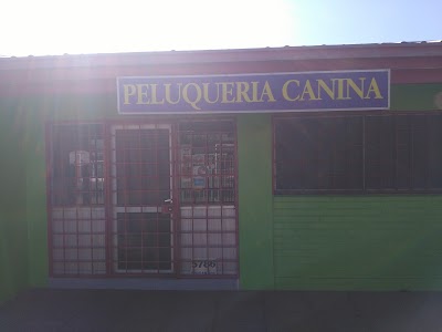 Photos of Veterinaria Arauco