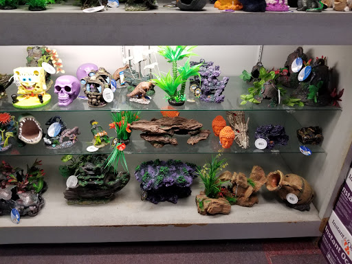 Trop Aquarium - Thumbnail