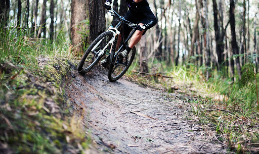 Elevate MTB - Visual
