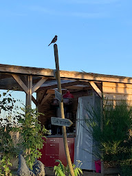 Photo n°43 de Caraferme à Les Châtelets (Vacances à la ferme)