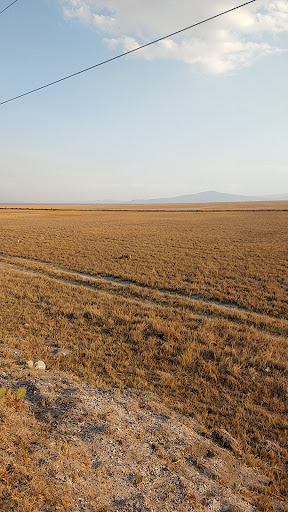 Laguna de totolcingo Gallery - Mexico