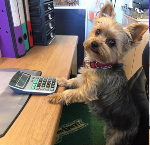 Happy pet supplies - Thumbnail