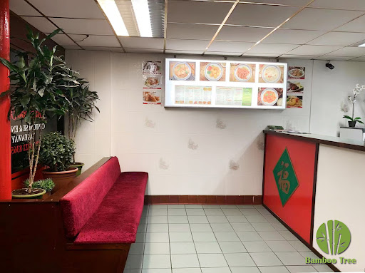 Photo of Bamboo tree