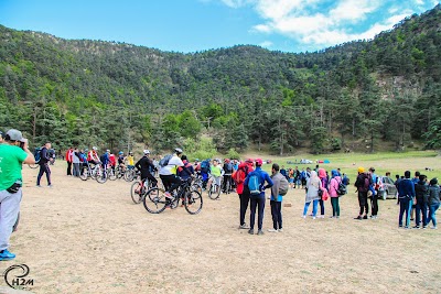 Photos of cedres TEH TISSEMSILT National Park