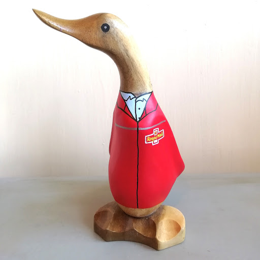 HM Ducks - Visual