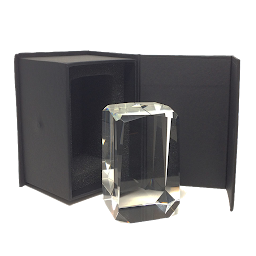 Photo n°15 de Trophées en verre à Le Mesnil-le-Roi (Magasin de trophées)