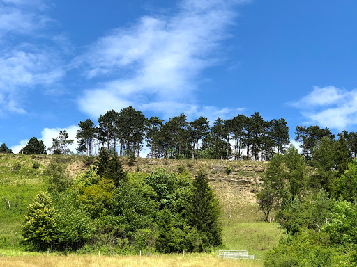 Gemeinde Schimberg - Visual