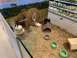 Photo n°19 de Maxi Zoo Laval - Saint-Berthevin à Saint-Berthevin (Animalerie)