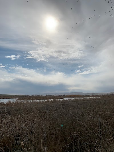 Roswell Marsh Wildlife Habitat Area