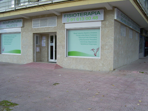 FISIOPEDRAZA - Visual