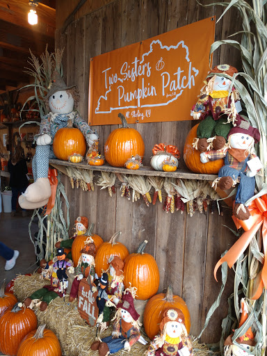 Two Sisters Pumpkin Patch - Visual