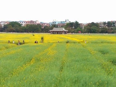 Photos of Lianhu Park