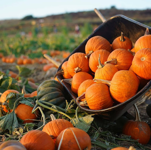 Red Cedar Farms - Thumbnail