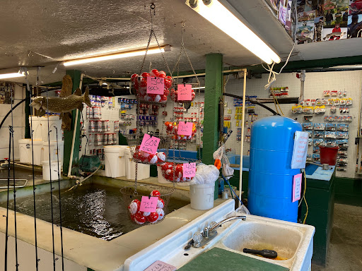 Tom's Bait and Tackle - Thumbnail