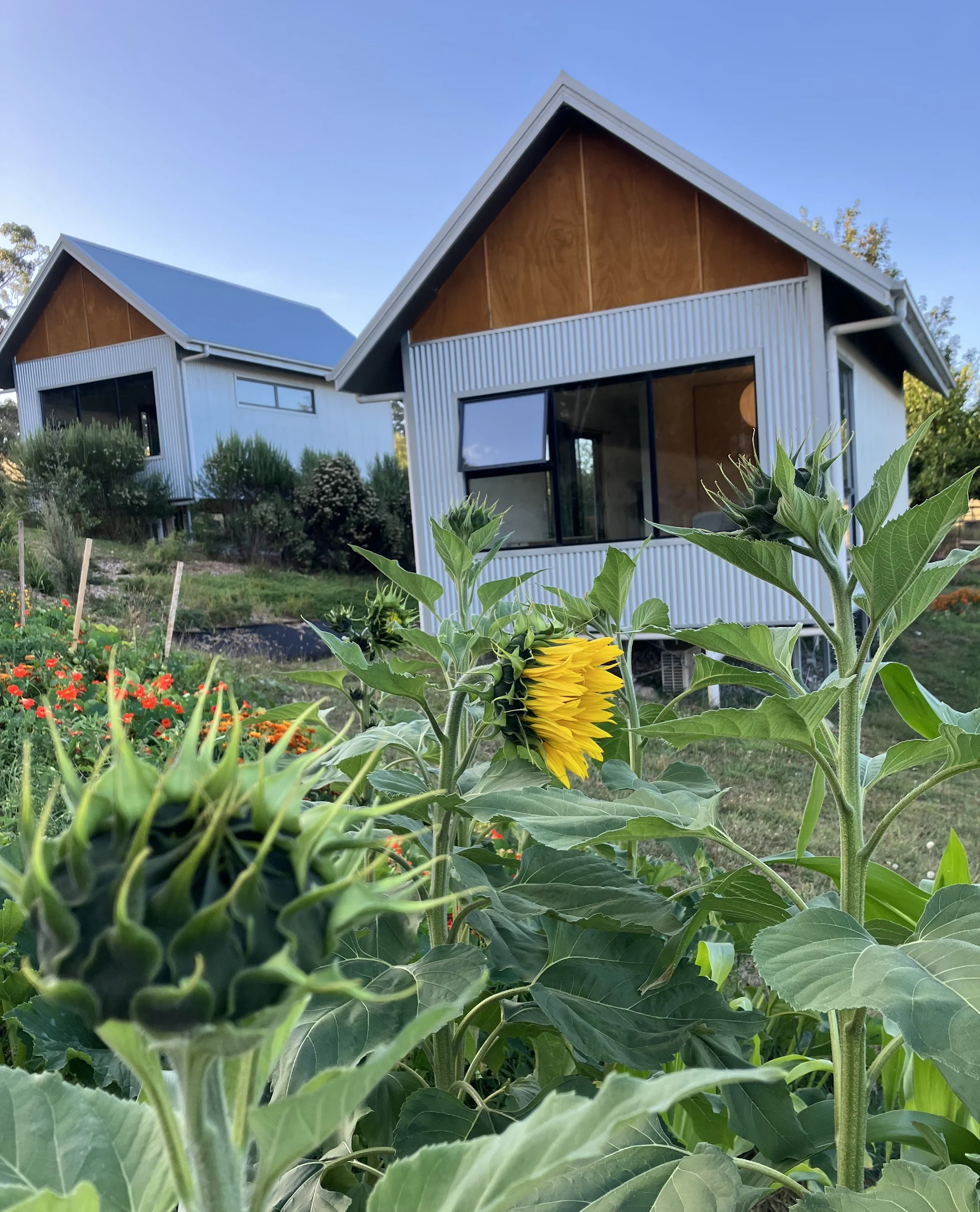 Paradise Road Farm