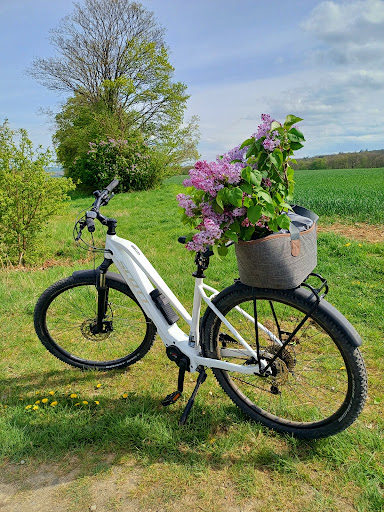 Bikestore Knabe - Visual