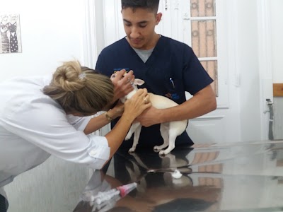 Photos of Vet Care