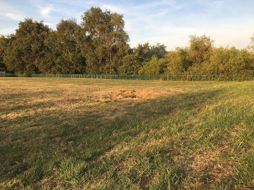 Beech Grove park - Thumbnail