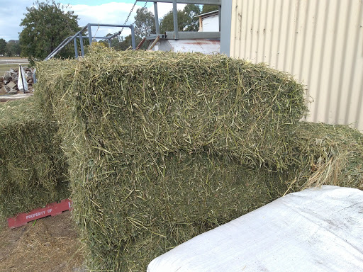Perthville Feed and Rural Supplies Gallery - Australia