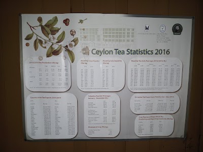 Photos of Rothschild Estate Tea Factory