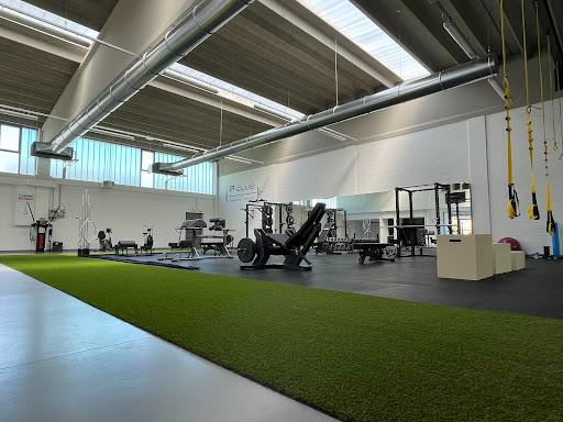 P-Club Personal Fitness - Thumbnail
