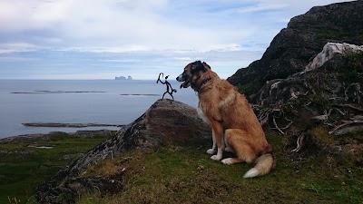 Photos of Puffin Colony at Lovund