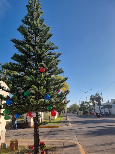Aguascalientes, México - Visual