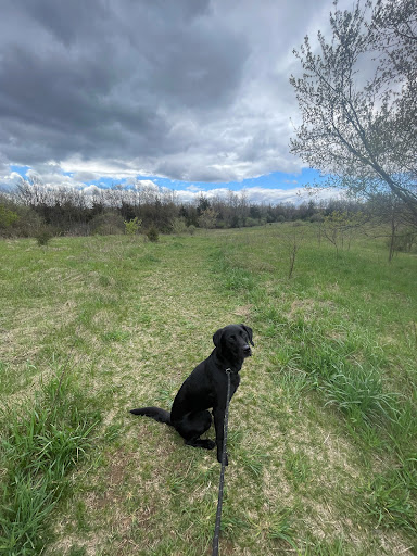 Deerfield Hills Nature Area - Thumbnail