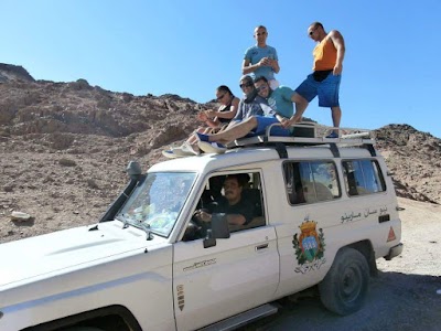 Photos of Seismic Cracks Zone - Ras Mamlah - Ras Abu Galum Protectorate