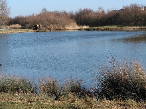 Recreatiepark De Lingebrug - Thumbnail