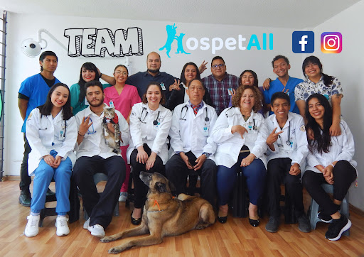 Hospital Veterinario Hospetall 24 Hrs.