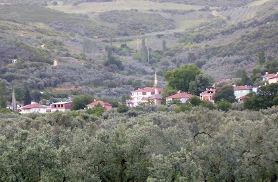 Çeltikçi Köy Muhtarlığı