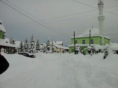 Mosque in Zherovjane