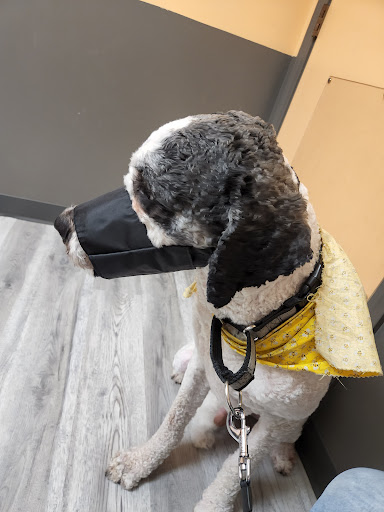 Corbin Animal Clinic - Thumbnail