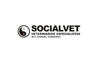 SOCIALVET Veterinary Specialists 1