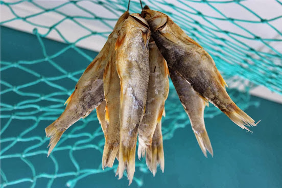 Freshline Fisheries by null