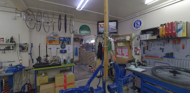 Rezensionen über Bike Shop Geiger GmbH in Versoix - Fahrradgeschäft