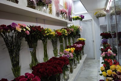 Photos of Pinkies Flowers Trading LLC Deira