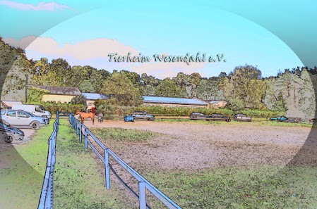Tierheim Wesendahl e.V. - Altlandsberg
